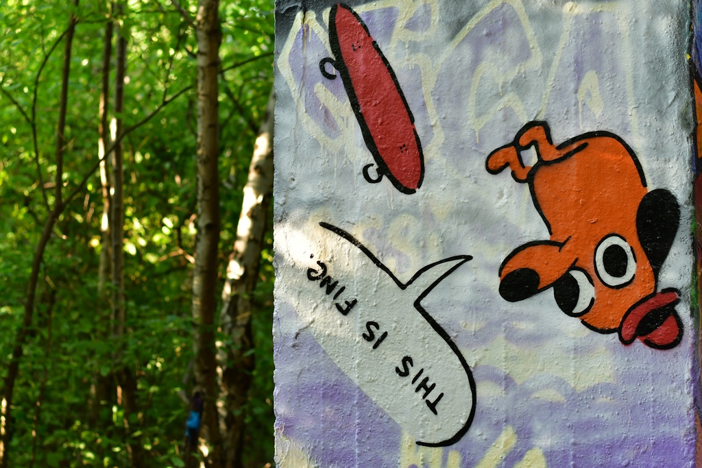 Berlin/Natür-Park Schöneberg Südgelände/DSC_5262.JPG